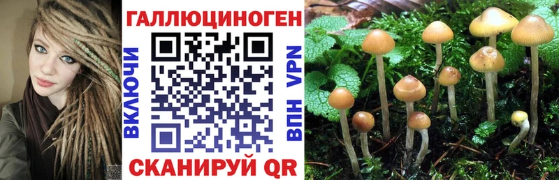 дарнет шоп  площадка наркотические препараты  Псилоцибиновые грибы Psilocybine cubensis  Мышкин 